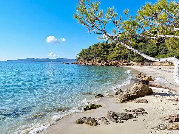DAY 3: LE LAVANDOU